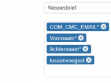 CMC-module-fields-Nieuwsbrief-after-saving.PNG